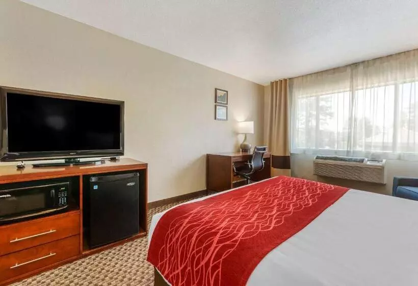 スタンダードルーム, Comfort Inn Payson