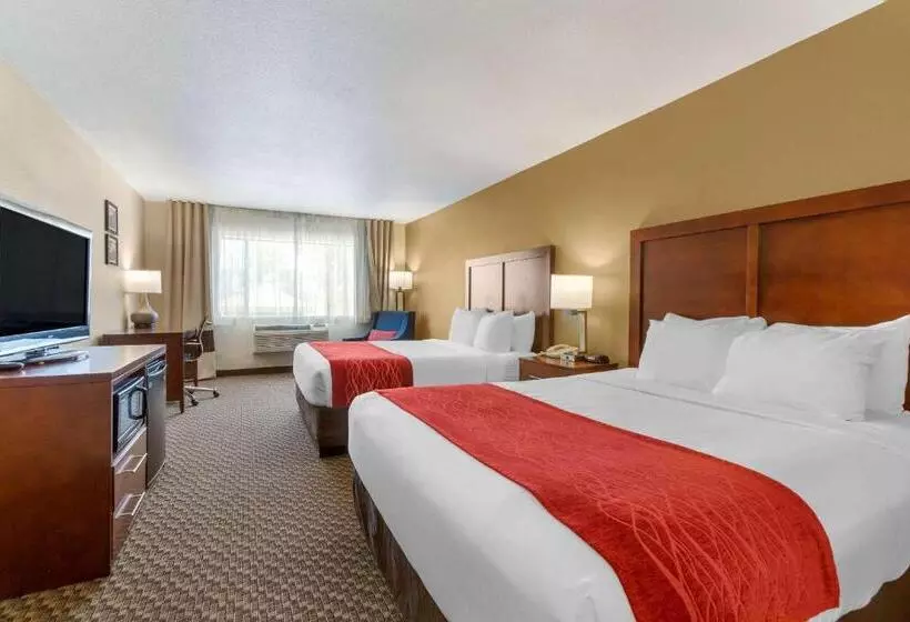 スタンダードルーム, Comfort Inn Payson