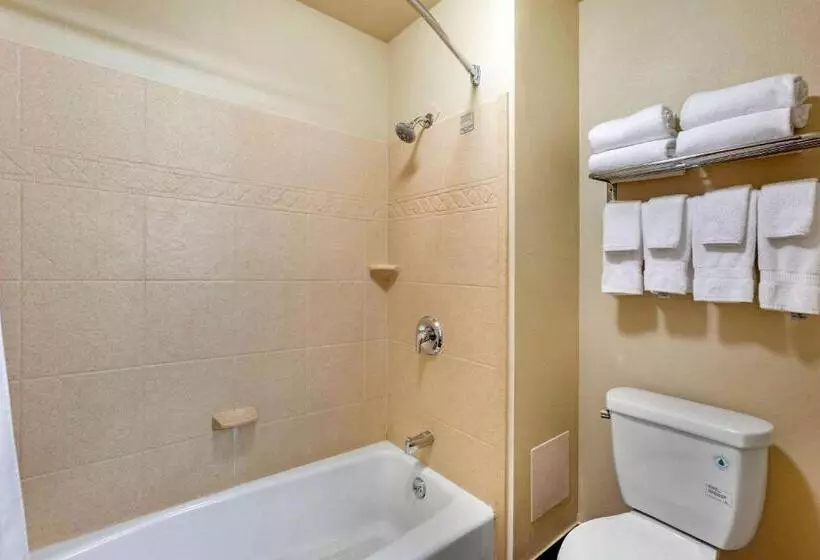 デラックスルーム, Comfort Inn Payson