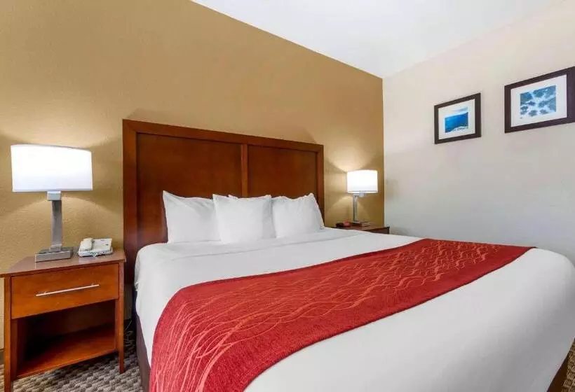 身障者適用キングサイズベッドルーム, Comfort Inn Payson