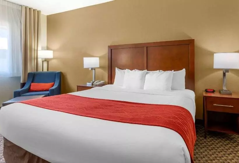 身障者適用キングサイズベッドルーム, Comfort Inn Payson
