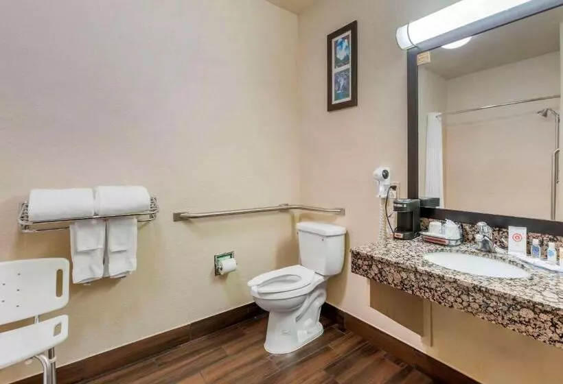 身障者適用スタンダードルーム, Comfort Inn Payson