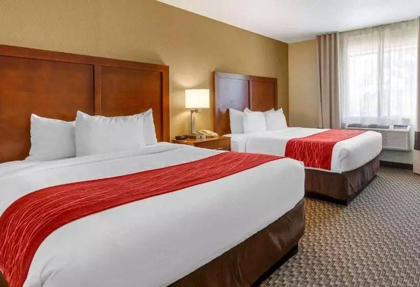 ハイドロマッサージバス付きスイート, Comfort Inn Payson