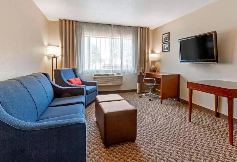 ハイドロマッサージバス付きスイート, Comfort Inn Payson