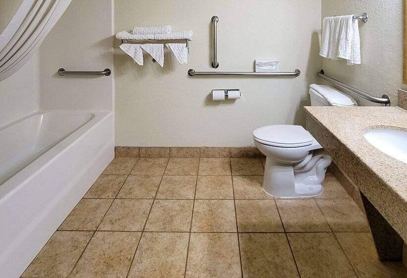 غرفه قياسيه سريرين مزدوجين, Comfort Inn & Suites