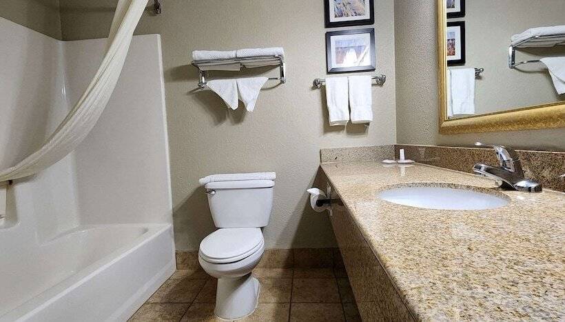 غرفه قياسيه سريرين مزدوجين, Comfort Inn & Suites