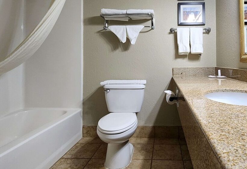 غرفه قياسيه سريرين مزدوجين, Comfort Inn & Suites