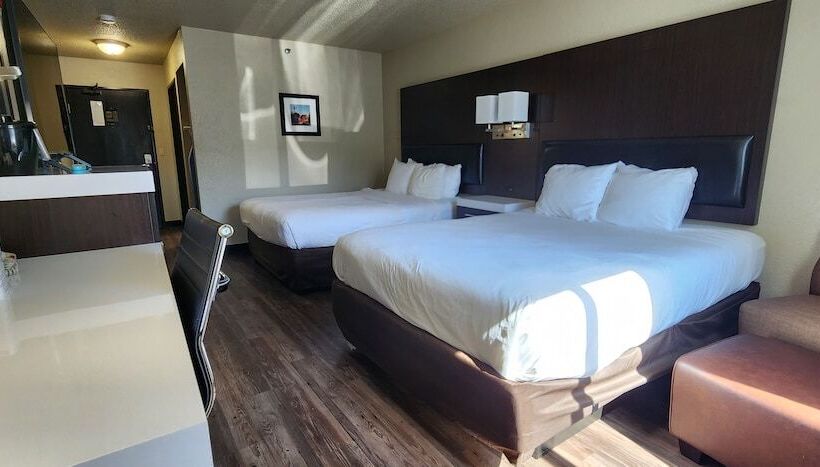 غرفه قياسيه سريرين مزدوجين, Comfort Inn & Suites