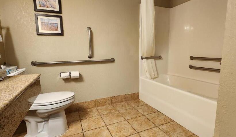 غرفة قياسية سرير كينج, Comfort Inn & Suites