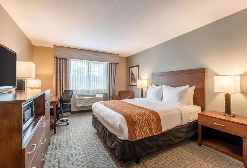 キングサイズベッドのスタンダードルーム, Comfort Inn & Suites