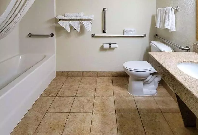 キングサイズベッドのスタンダードルーム, Comfort Inn & Suites