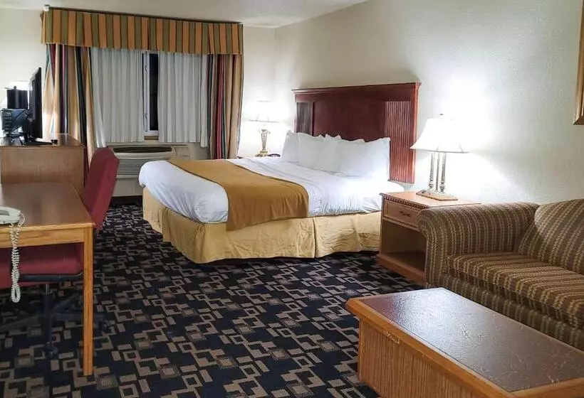 キングサイズベッドのスタンダードルーム, Comfort Inn & Suites