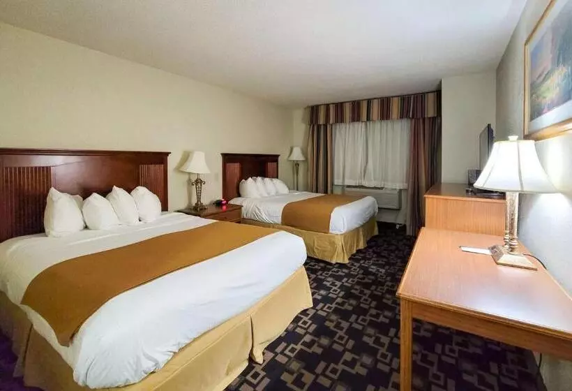 身障者適用スタンダードルーム, Comfort Inn & Suites