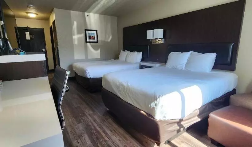 身障者適用スタンダードルーム, Comfort Inn & Suites