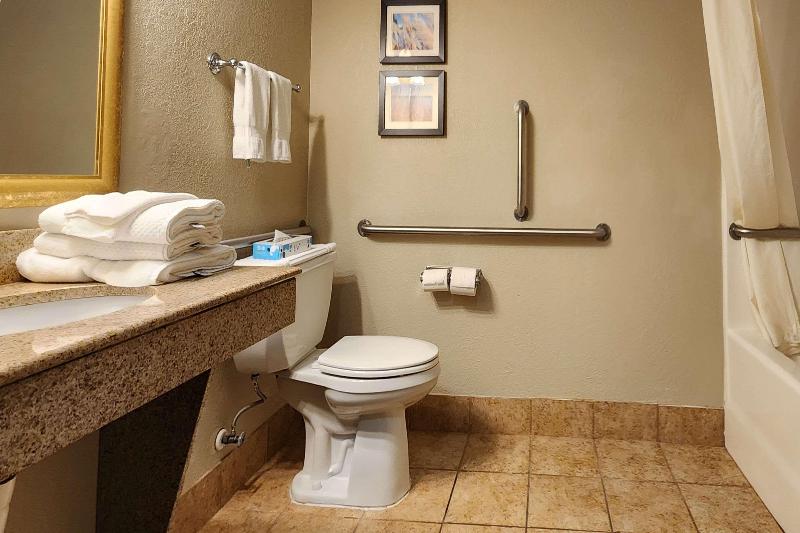 Номер Стандарт Адаптированный для Инвалидов, Comfort Inn & Suites