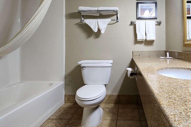 غرفة قياسية سرير كينج, Comfort Inn & Suites