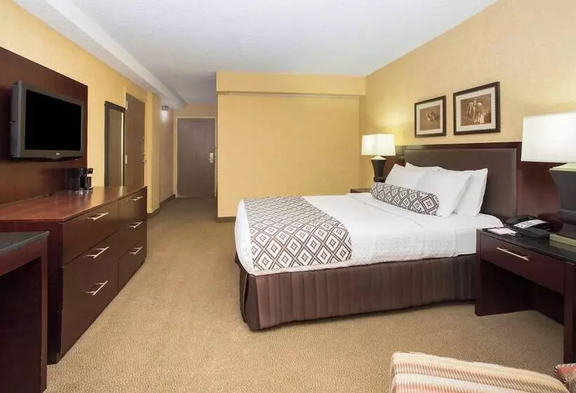 スタンダードルーム, Crowne Plaza Denver International Airport, An Ihg