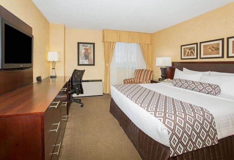 غرفة قياسية, Crowne Plaza Denver International Airport, An Ihg