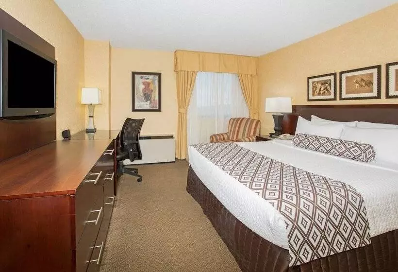 スタンダードルーム, Crowne Plaza Denver International Airport, An Ihg