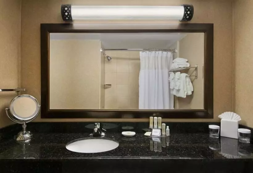 スイート, Crowne Plaza Denver International Airport, An Ihg