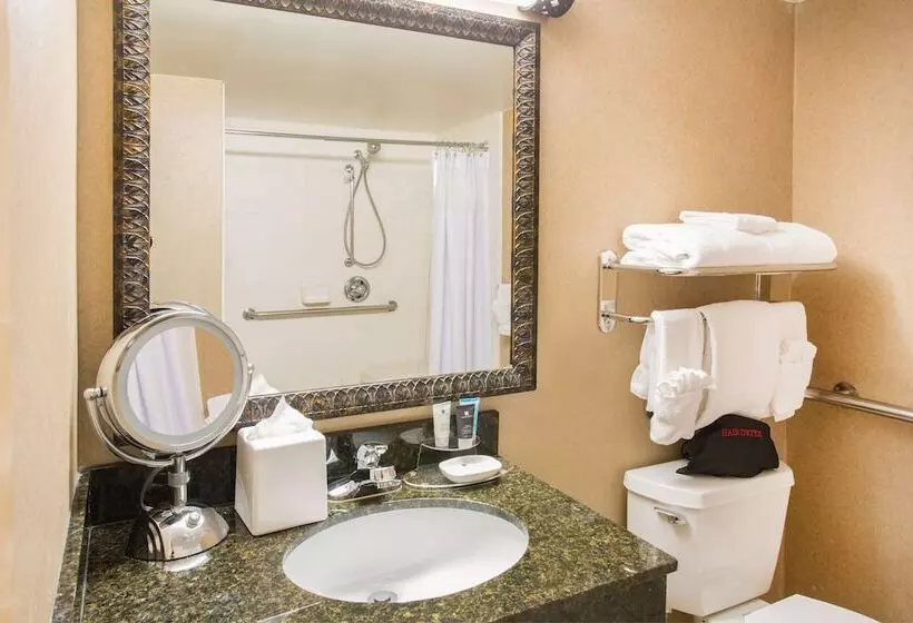 ２ダブルベッドのスタンダードルーム, Crowne Plaza Denver International Airport, An Ihg