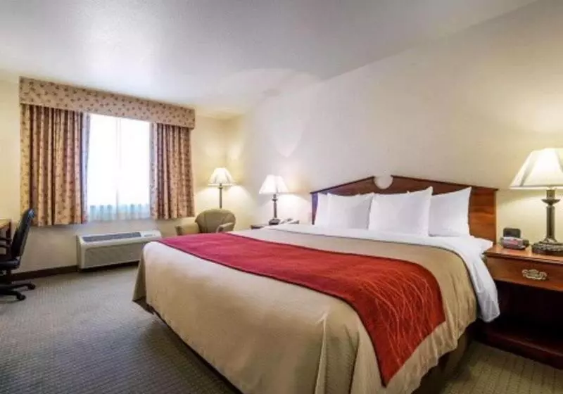 キングサイズベッドのスタンダードルーム, Doubletree By Hilton Hotel Rocky Mount