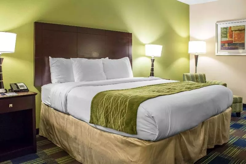 キングサイズベッドのスタンダードルーム, Econo Lodge Ankeny   Des Moines