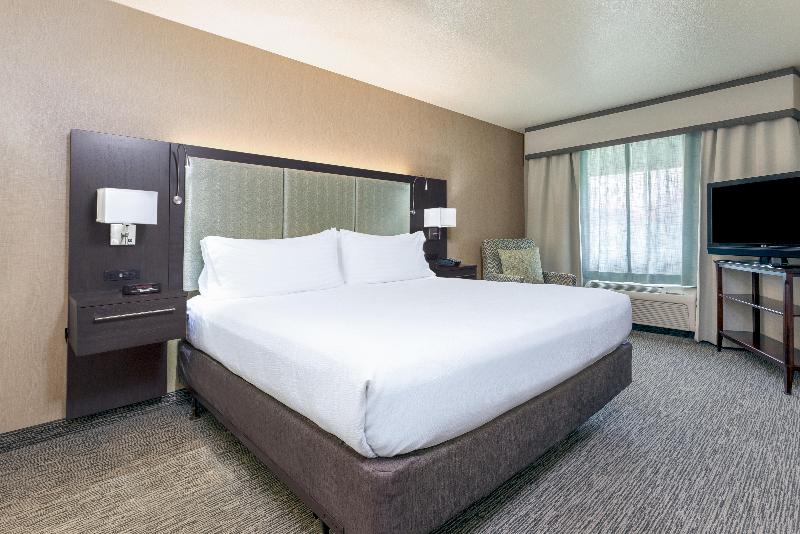 스탠다드 룸 킹사이즈 침대, Holiday Inn Auburn, An Ihg