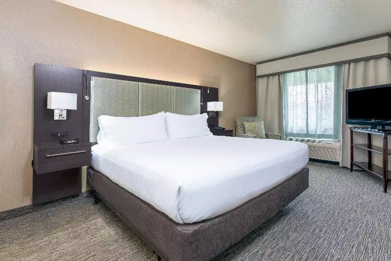 اتاق استاندارد با تخت بزرگ, Holiday Inn Auburn, An Ihg