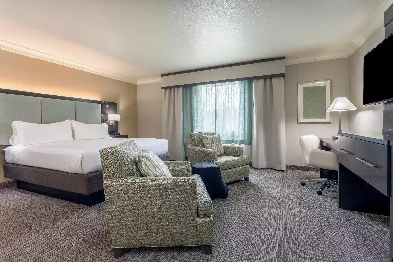اتاق اجرایی با تخت بزرگ, Holiday Inn Auburn, An Ihg