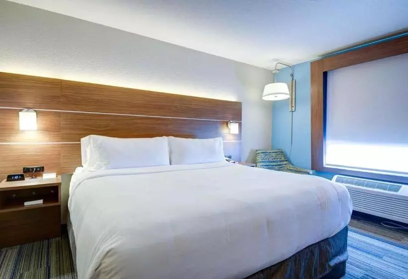 キングサイズベッドのスイートルーム, Holiday Inn Express & Suites North Platte, An Ihg
