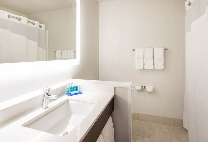 スイート, Holiday Inn Express Hotel & Suites Minneapolis Downtown Convention Center, An Ihg