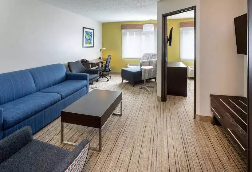 スイート, Holiday Inn Express Hotel & Suites Minneapolis Downtown Convention Center, An Ihg