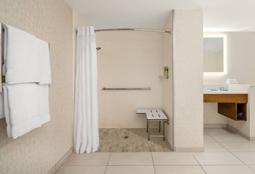 带2个双人床的标准工作室, Holiday Inn Express Cruise Airport, An Ihg