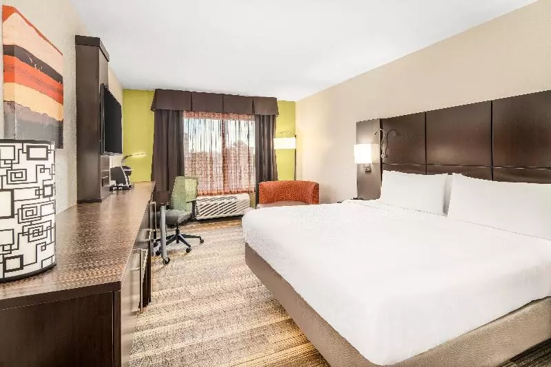 اتاق استاندارد با تخت بزرگ, Holiday Inn Express Cruise Airport, An Ihg