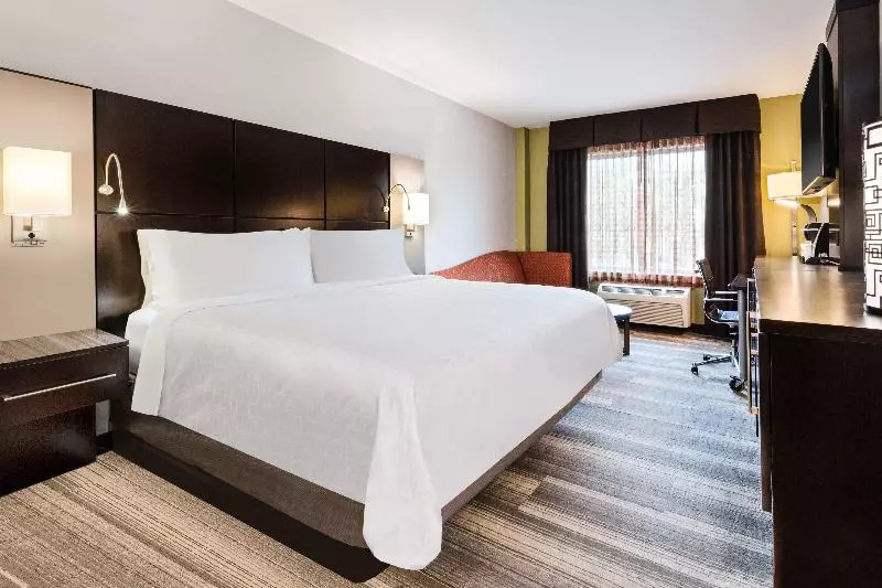 اتاق استاندارد با تخت بزرگ, Holiday Inn Express Cruise Airport, An Ihg