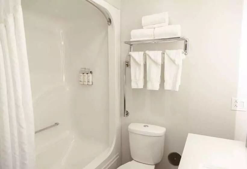 ２ダブルベッドのスタンダードルーム, Holiday Inn Express Marshfield   Springfield Area, An Ihg
