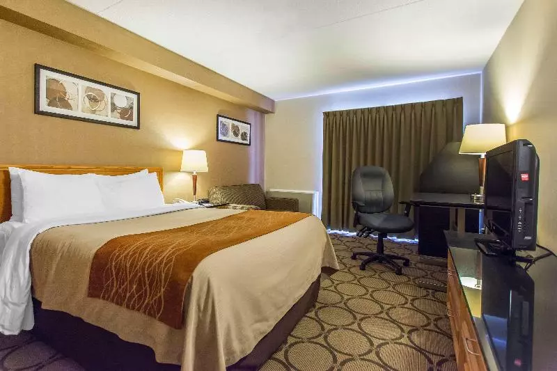 スタンダードルーム, Holiday Inn Express Marshfield   Springfield Area, An Ihg