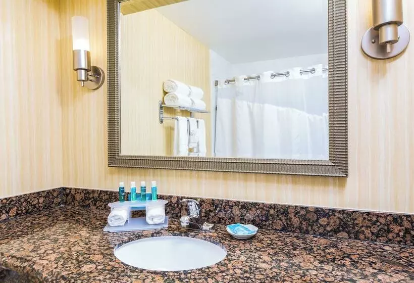Standard-huone 2 Parivuodetta, Holiday Inn Express San Diego   Sea World Area, An Ihg