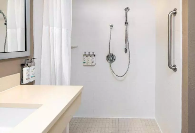 اتاق استاندارد با تخت بزرگ, Holiday Inn Miamidoral Area, An Ihg