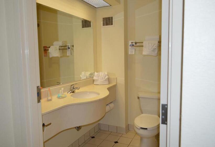 带大床的行政房间, Opal Hotel & Suites