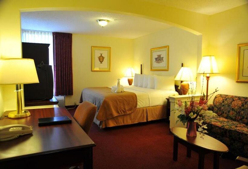 带大床的行政房间, Opal Hotel & Suites