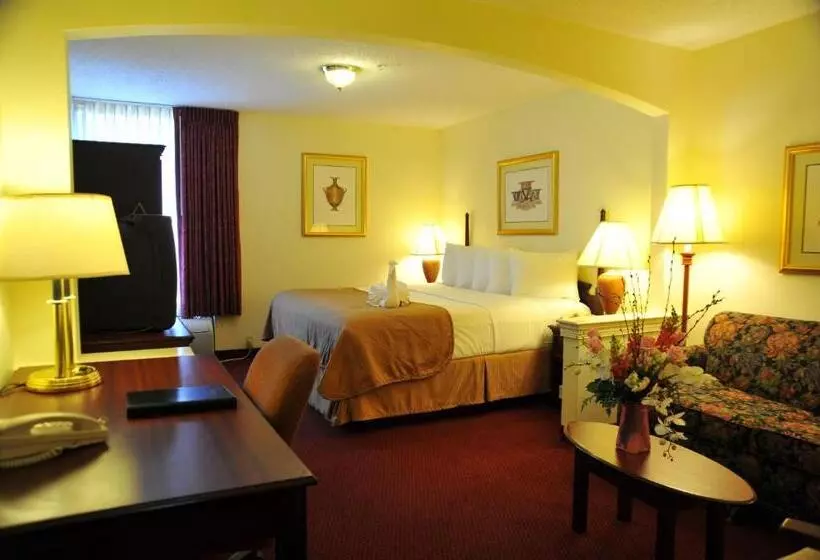 キングサイズベッドのエクゼクティブルーム, Opal Hotel & Suites