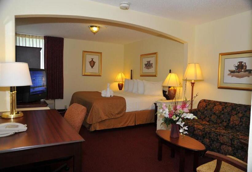 اتاق اجرایی با تخت بزرگ, Opal Hotel & Suites