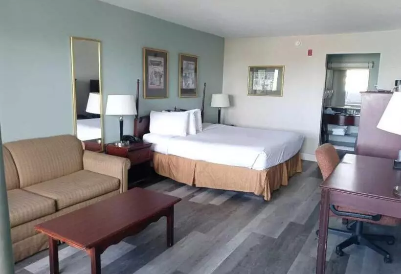 キングサイズベッドのスタンダードルーム, Opal Hotel & Suites