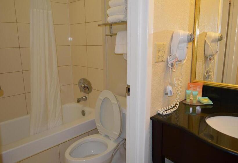 اتاق استاندارد با چشم‌انداز استخر, Opal Hotel & Suites