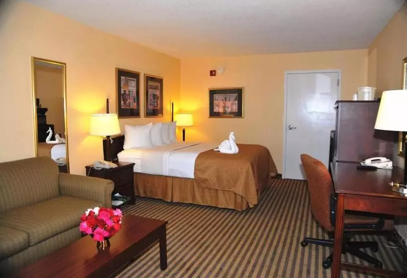 身障者適用キングサイズベッドルーム, Opal Hotel & Suites