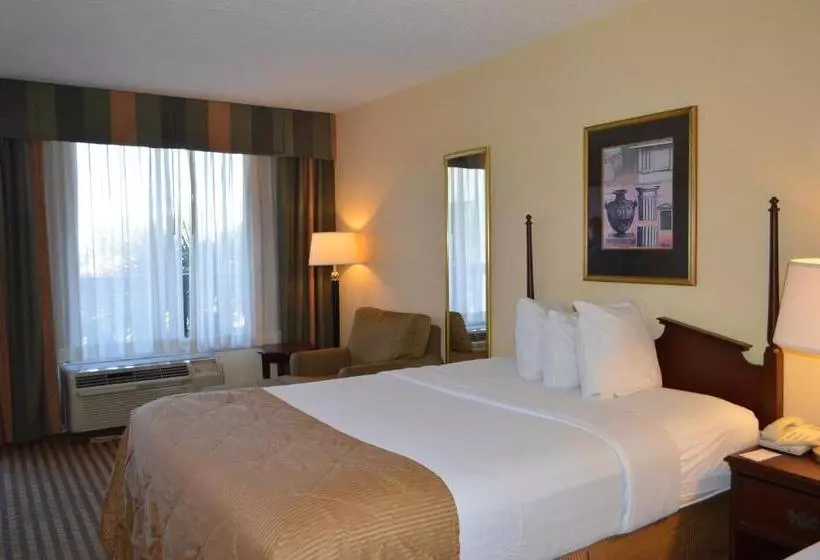 身障者適用キングサイズベッドルーム, Opal Hotel & Suites
