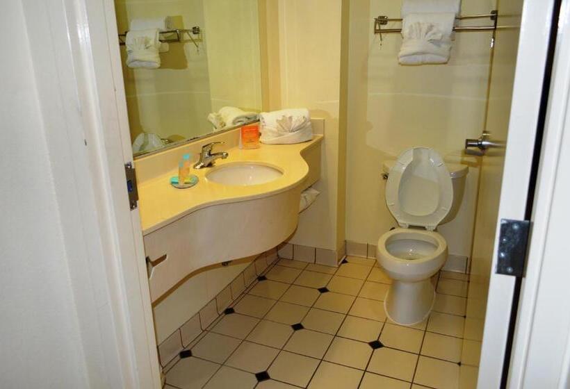 اتاق استاندارد, Opal Hotel & Suites