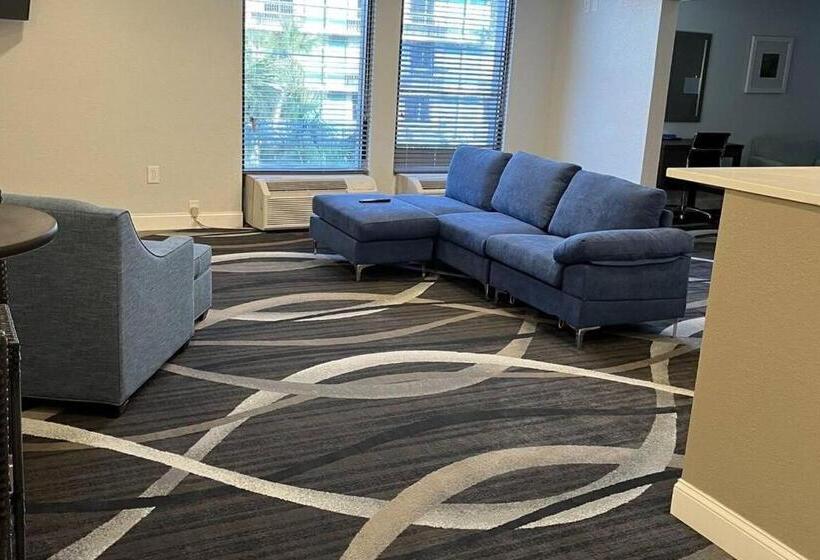 سوییت با چشم‌انداز استخر, Opal Hotel & Suites